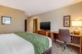 Room #417275005 at Comfort Inn & Suites Schenectady - Scotia