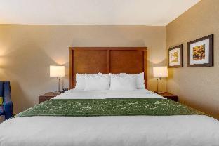 Room #417275005 at Comfort Inn & Suites Schenectady - Scotia