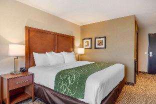 Room #417275005 at Comfort Inn & Suites Schenectady - Scotia