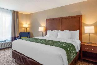 Room #417275005 at Comfort Inn & Suites Schenectady - Scotia