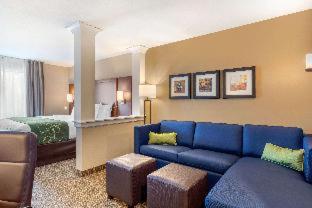 Room #417275008 at Comfort Inn & Suites Schenectady - Scotia