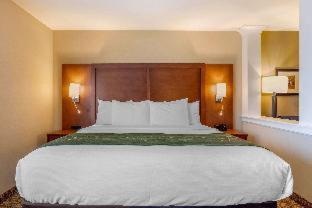 Room #417275009 at Comfort Inn & Suites Schenectady - Scotia
