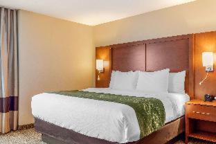 Room #417275009 at Comfort Inn & Suites Schenectady - Scotia
