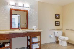 Room #417275010 at Comfort Inn & Suites Schenectady - Scotia