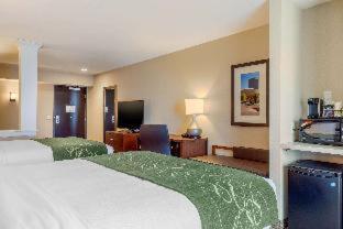 Room #417275010 at Comfort Inn & Suites Schenectady - Scotia