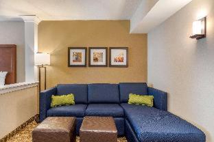 Room #417275010 at Comfort Inn & Suites Schenectady - Scotia