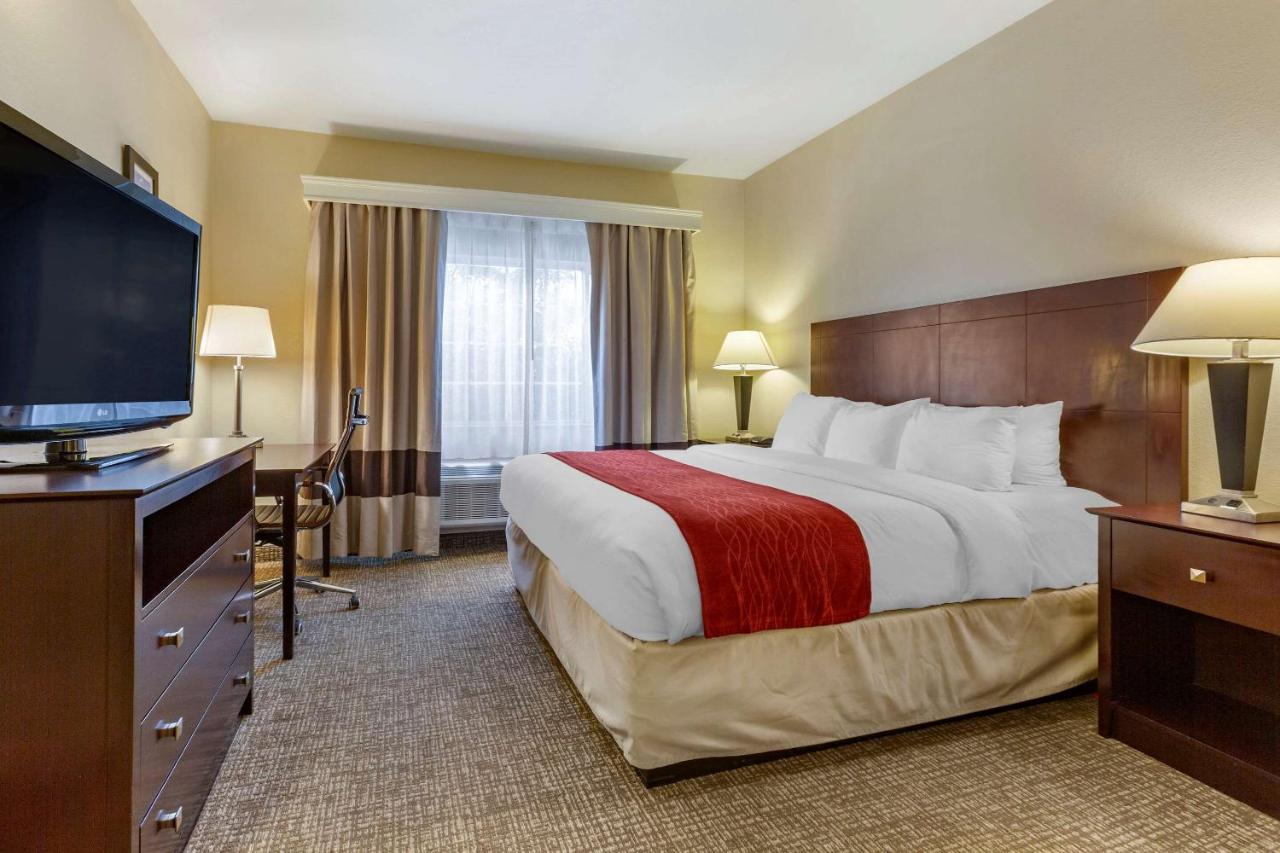 King Room - Accessible/Non-Smoking at Comfort Inn & Suites North Tucson - Marana
