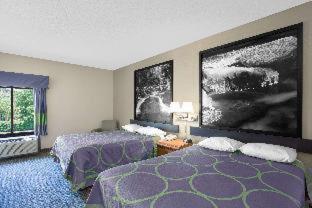 Room #53176528 at Super 8 by Wyndham Clemmons/Bermuda Run/Winston-Salem I-40