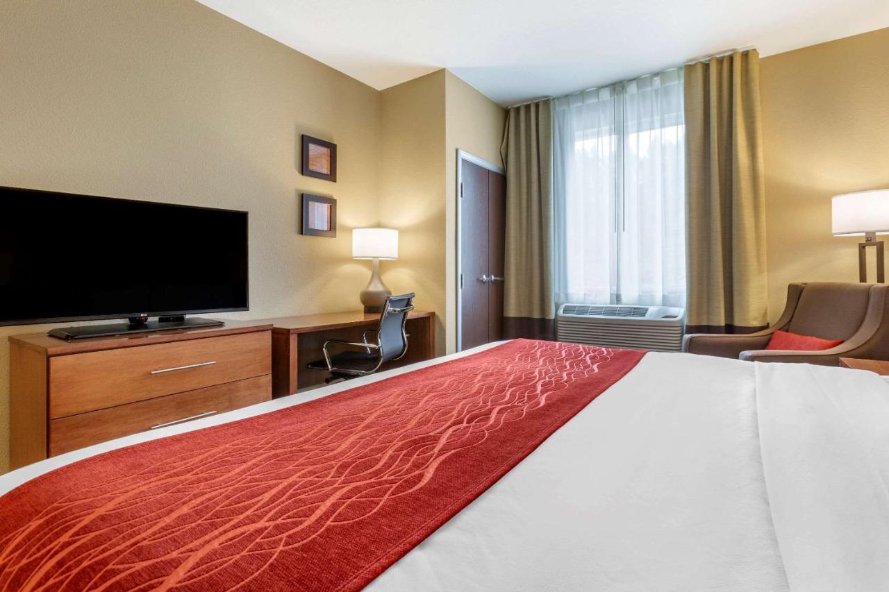 King Room - Accessible/Non-Smoking at Comfort Inn & Suites Near Mt. Rushmore