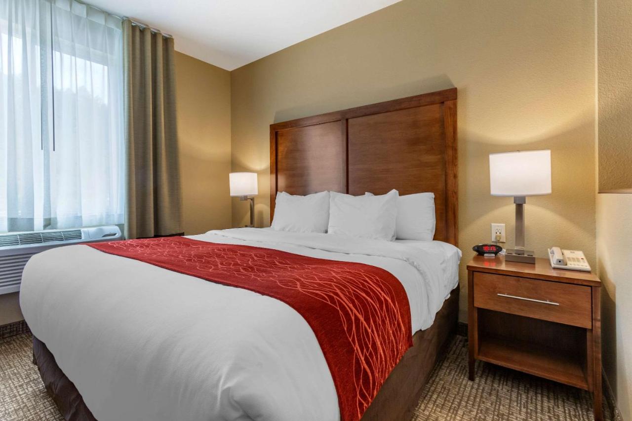 King Suite with Sofa Bed - Non-Smoking at Comfort Inn & Suites Near Mt. Rushmore