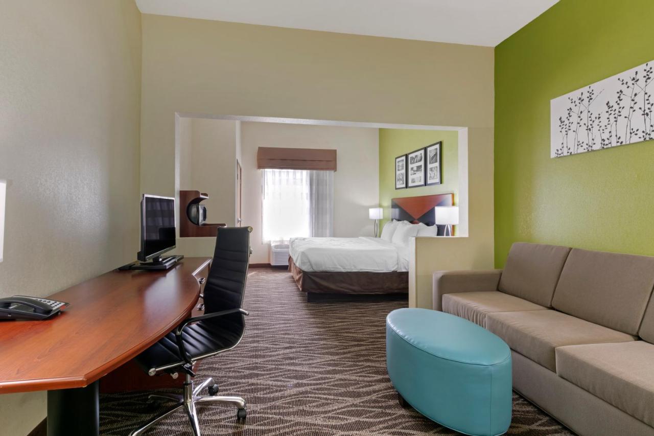 King Suite - Non-Smoking at Sleep Inn & Suites Montgomery East I-85