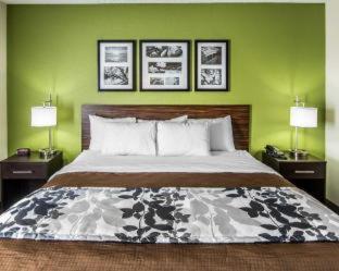 Room #179543308 at Sleep Inn South Joplin