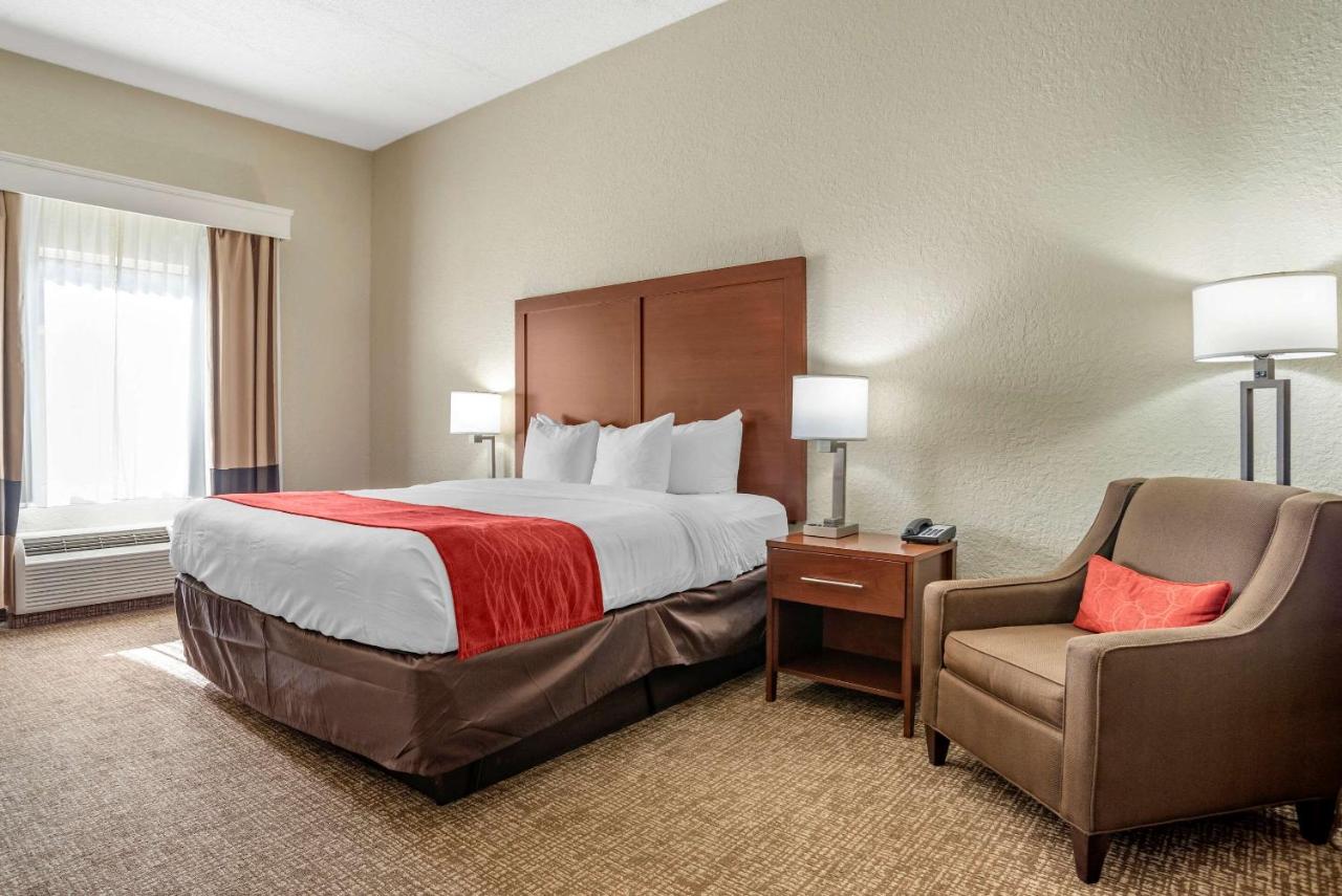 King Room - Accessible/Non-Smoking at Comfort Inn & Suites Marianna I-10
