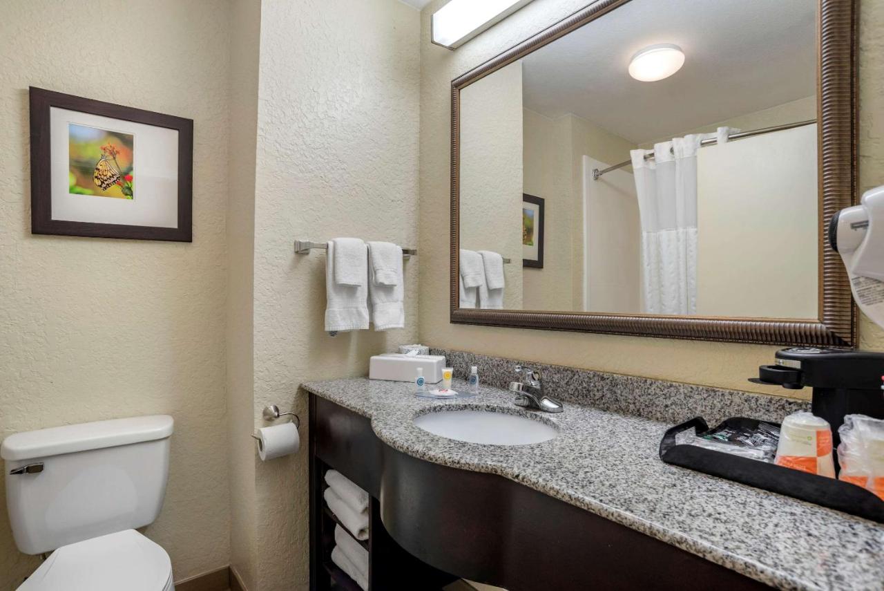 King Room - Non-Smoking at Comfort Inn & Suites Marianna I-10
