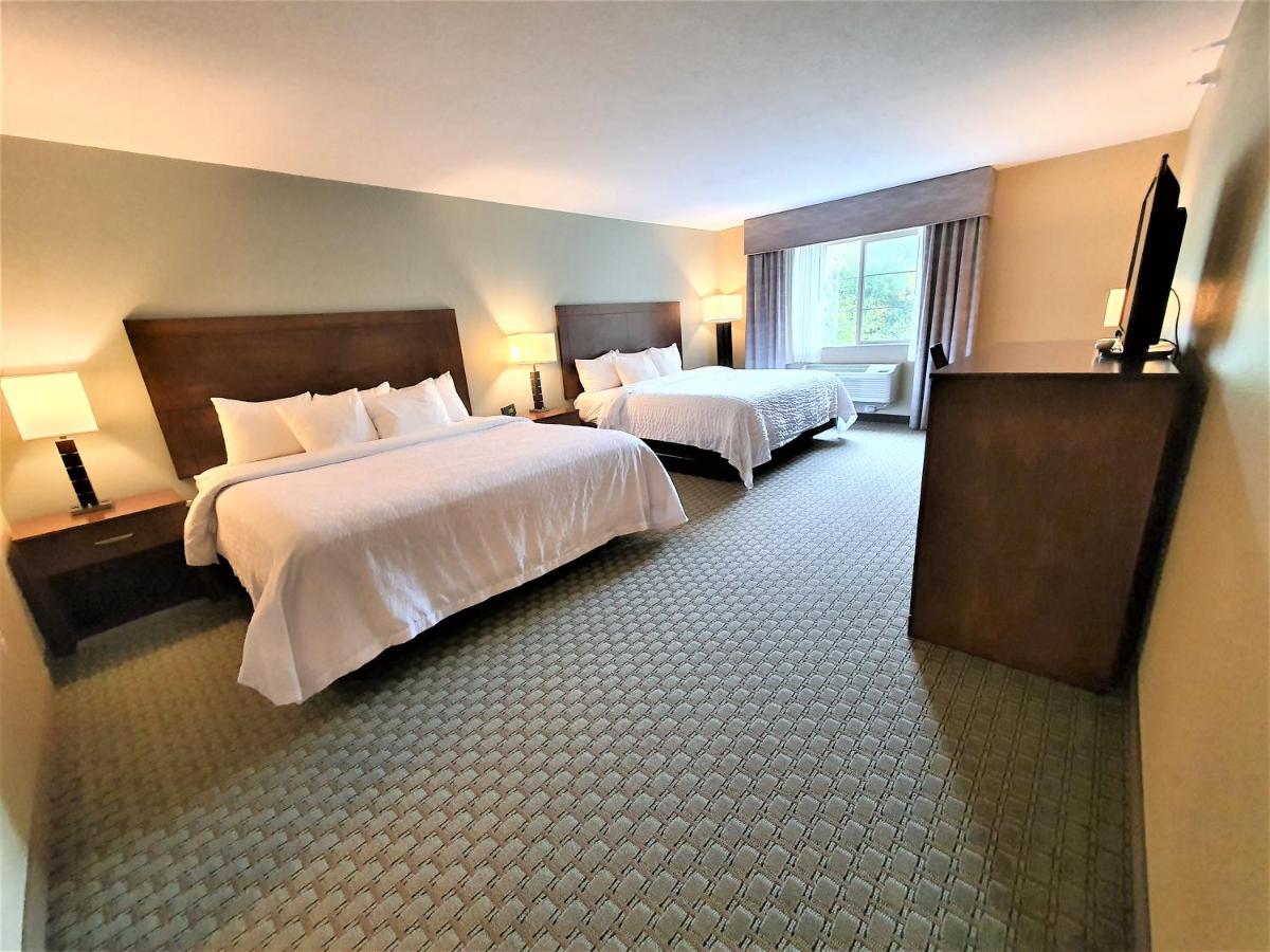 Deluxe King Room at AmeriVu Inn and Suites - Chisago City