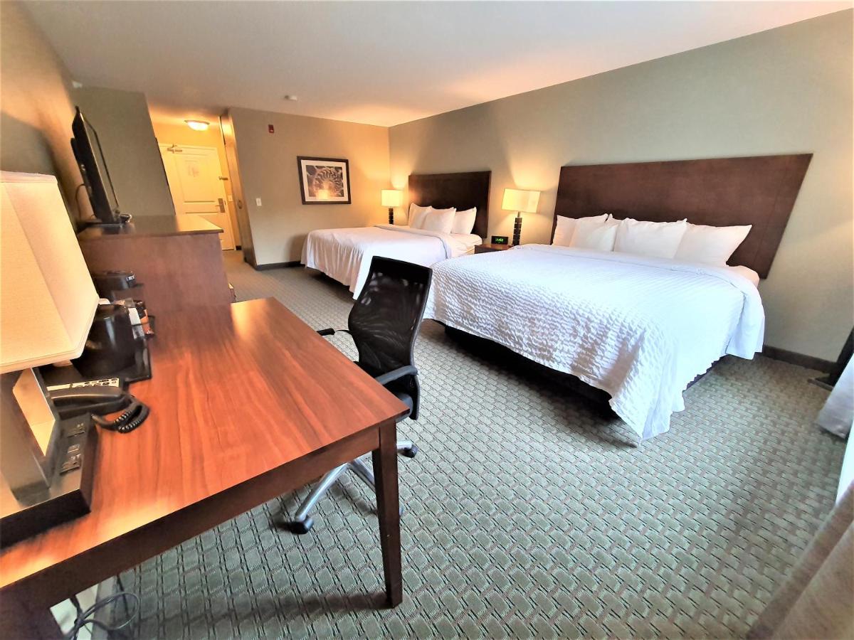 Deluxe King Room at AmeriVu Inn and Suites - Chisago City