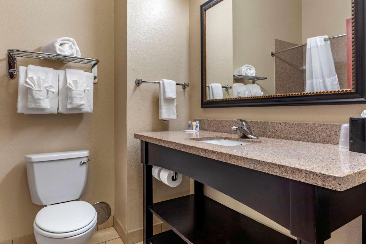 King Suite - Non-Smoking at Comfort Inn & Suites Paris