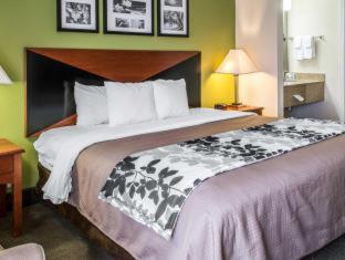 Room #49207608 at Sleep Inn Wytheville I-77 and I-81