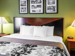 Room #49207608 at Sleep Inn Wytheville I-77 and I-81