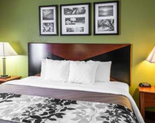 Room #49207610 at Sleep Inn Wytheville I-77 and I-81