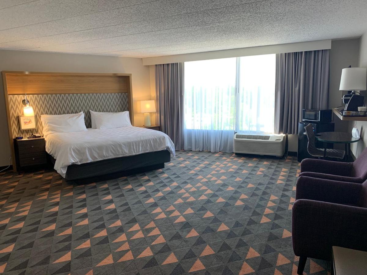 King Room - Non-Smoking at Holiday Inn Chicago Nw Crystal Lk Conv Ctr, an IHG Hotel