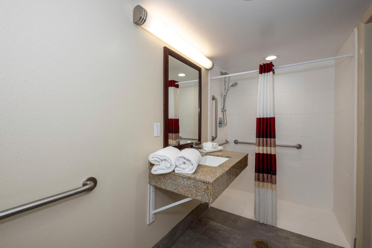 Deluxe King Room Disability Access Roll-In Shower Smoke Free at Red Roof Inn PLUS+ Tuscaloosa - University