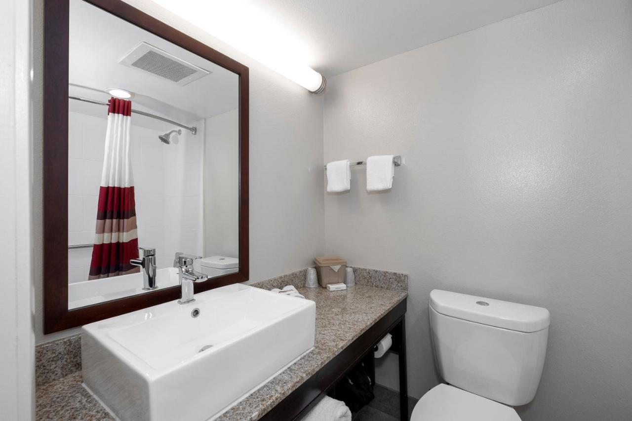 Deluxe King Room Disability Access Smoke Free at Red Roof Inn PLUS+ Tuscaloosa - University