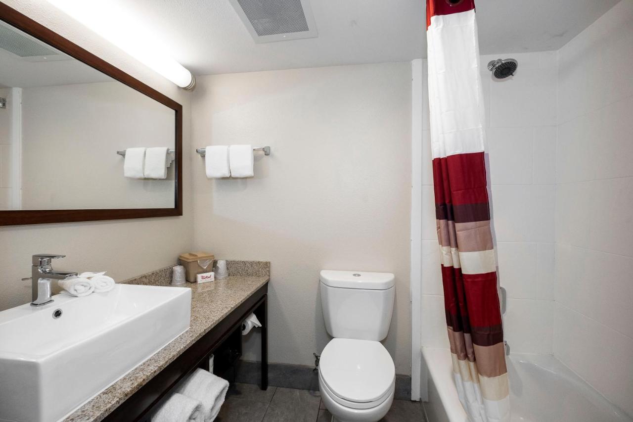 Deluxe King Room Smoke Free at Red Roof Inn PLUS+ Tuscaloosa - University