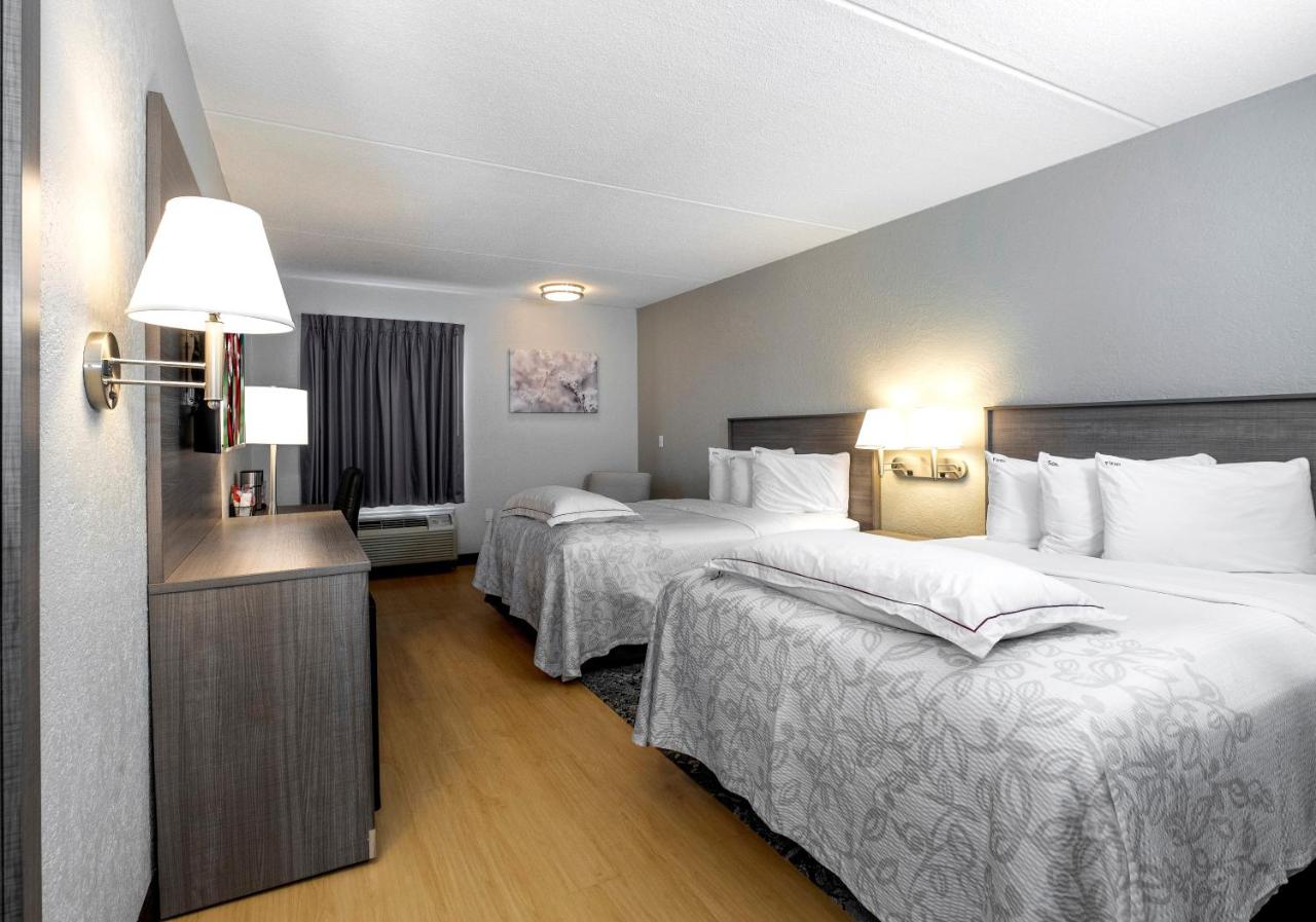 Superior King Room Disability Access Roll-ln Shower Smoke Free at Red Roof Inn PLUS+ Boston - Mansfield/ Foxboro