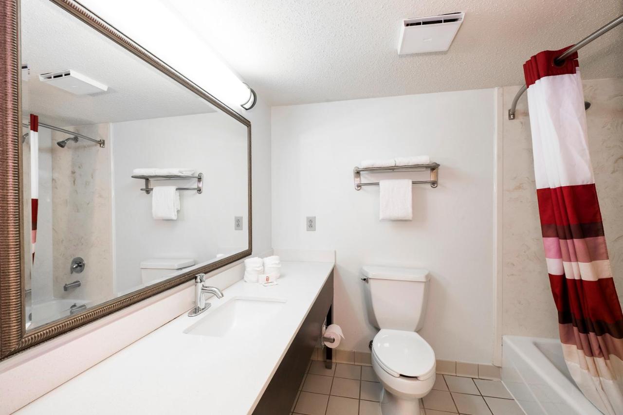 Superior King Room Non-Smoking at Red Roof Inn & Suites Stafford, VA - Quantico