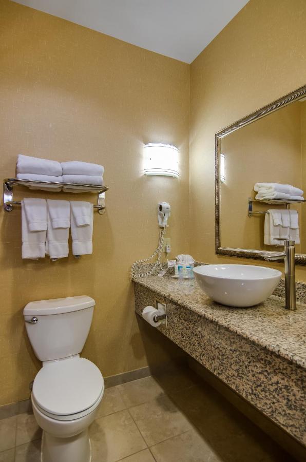 King Suite - Non-Smoking at Comfort Suites Old Town Spring