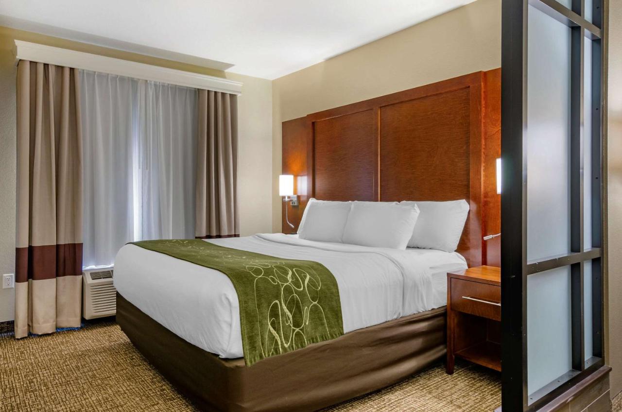 Suite with King Bed at Comfort Suites Helena Airport