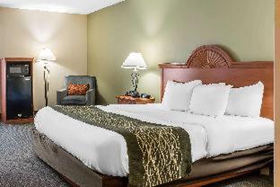 Room #49125008 at Comfort Inn Pine Grove