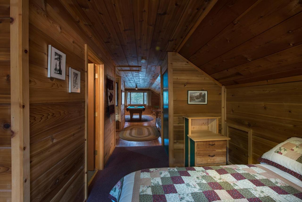 | 37 Wapiti