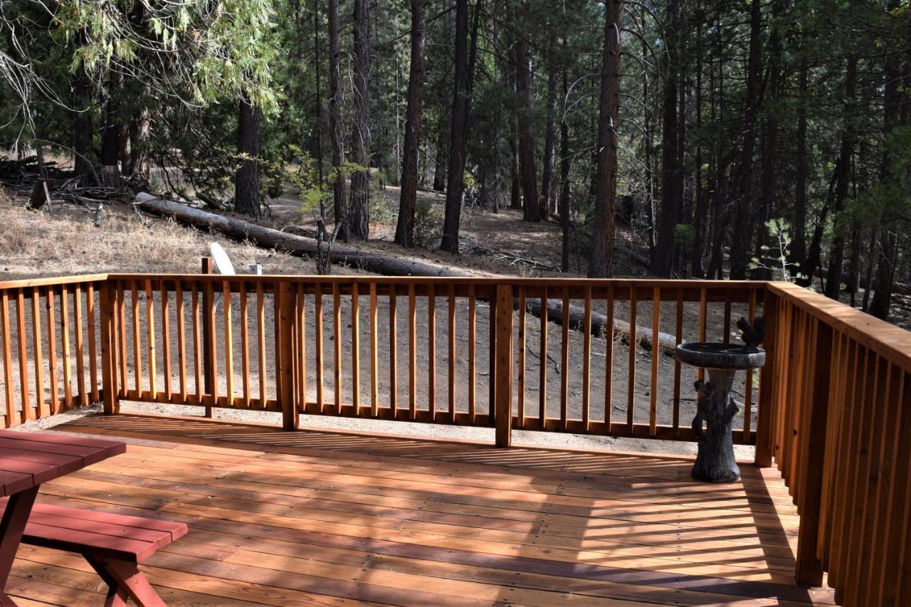 | 11B Sequoia House