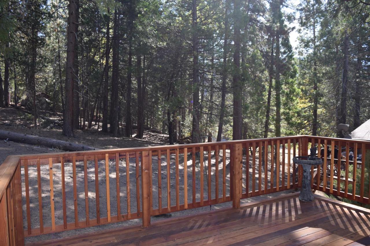 | 11B Sequoia House