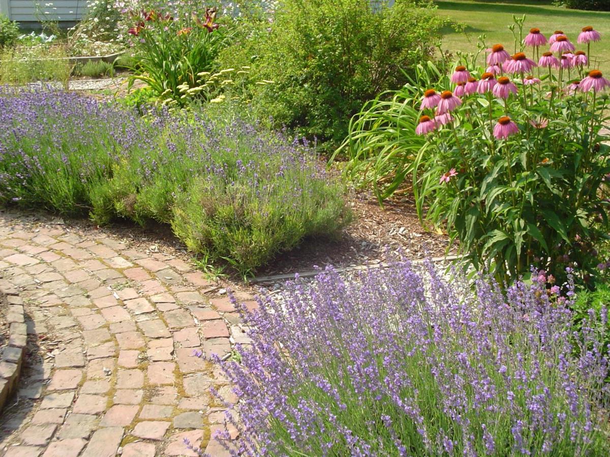 | Stephen Clay Homestead Bed and Breakfast
