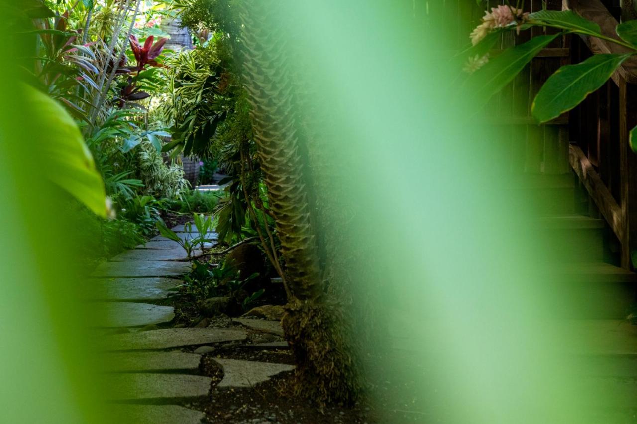  | The Kulani Maui