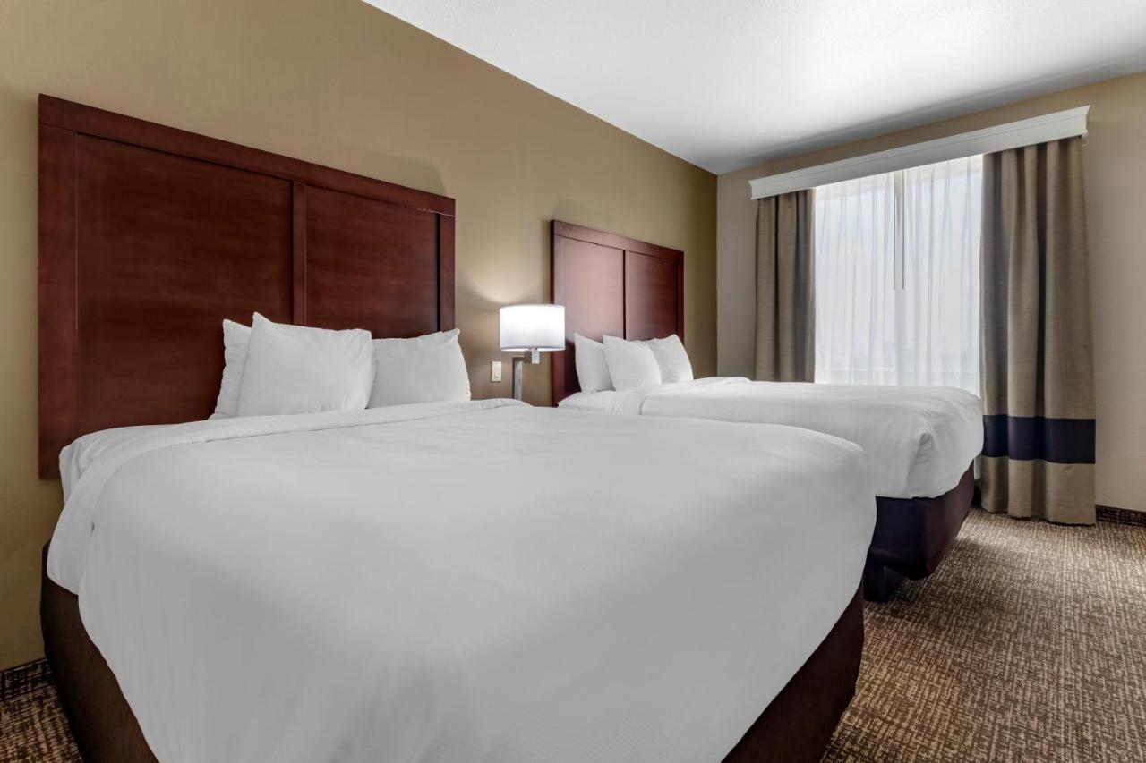 Queen Suite with Two Queen Beds - Non-Smoking at Comfort Suites Waco North - Near University Area