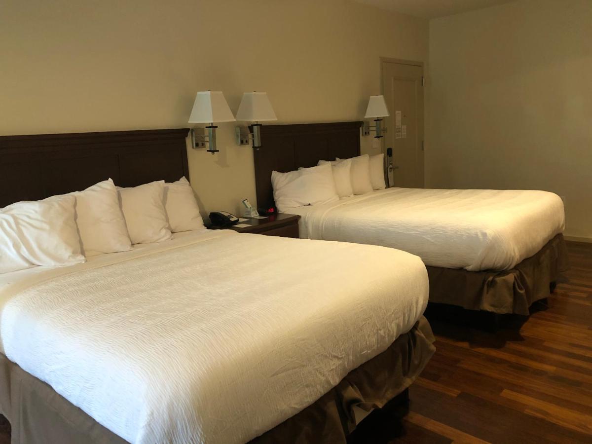 Queen Room - Disability Access at Grand Eastonian Hotel & Suites