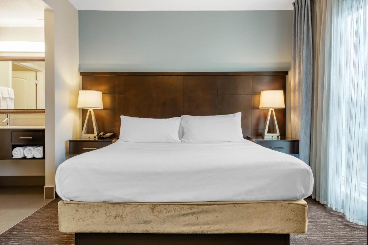 Standard Room at Staybridge Suites St. Petersburg Downtown by IHG
