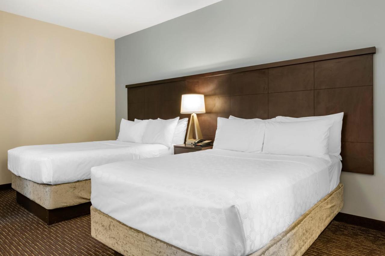 One-Bedroom Queen Suite - Hearing Accessible - Non-Smoking at Staybridge Suites St. Petersburg Downtown by IHG