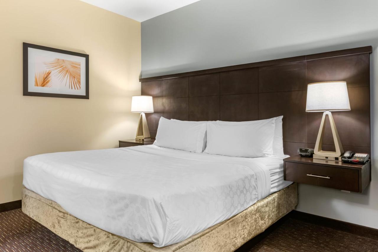 Standard Room at Staybridge Suites St. Petersburg Downtown by IHG