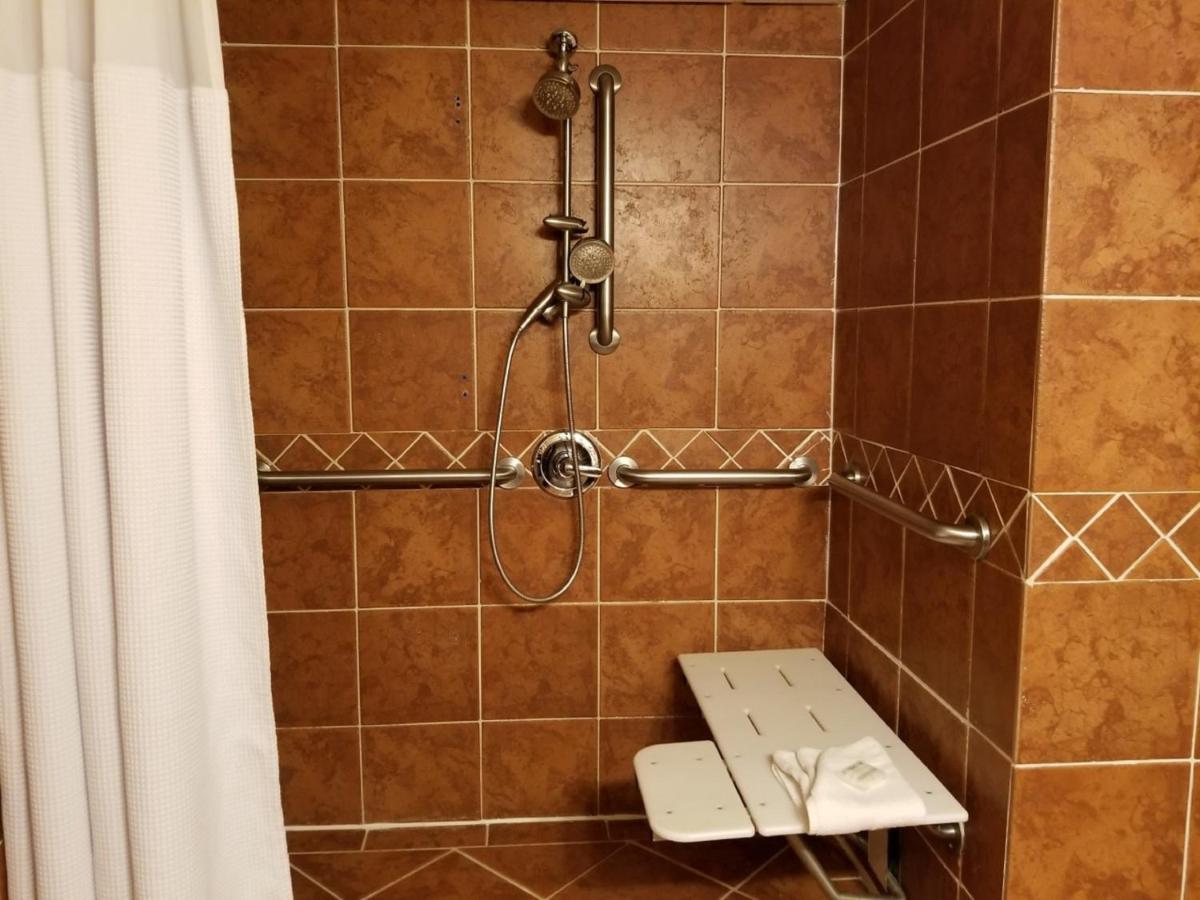 King Room with Roll-In Shower - Mobility Access/Non-Smoking at Wyndham Houston near NRG Park/Medical Center