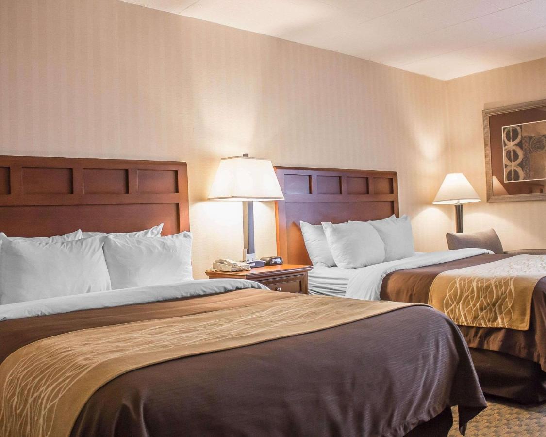 | Comfort Inn Wethersfield - Hartford