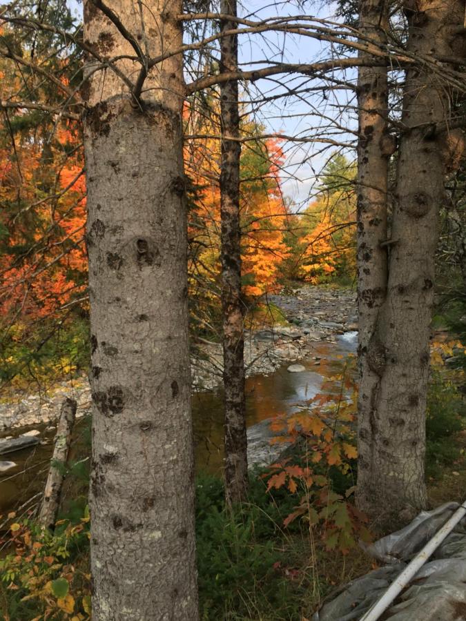 | Inn by the River