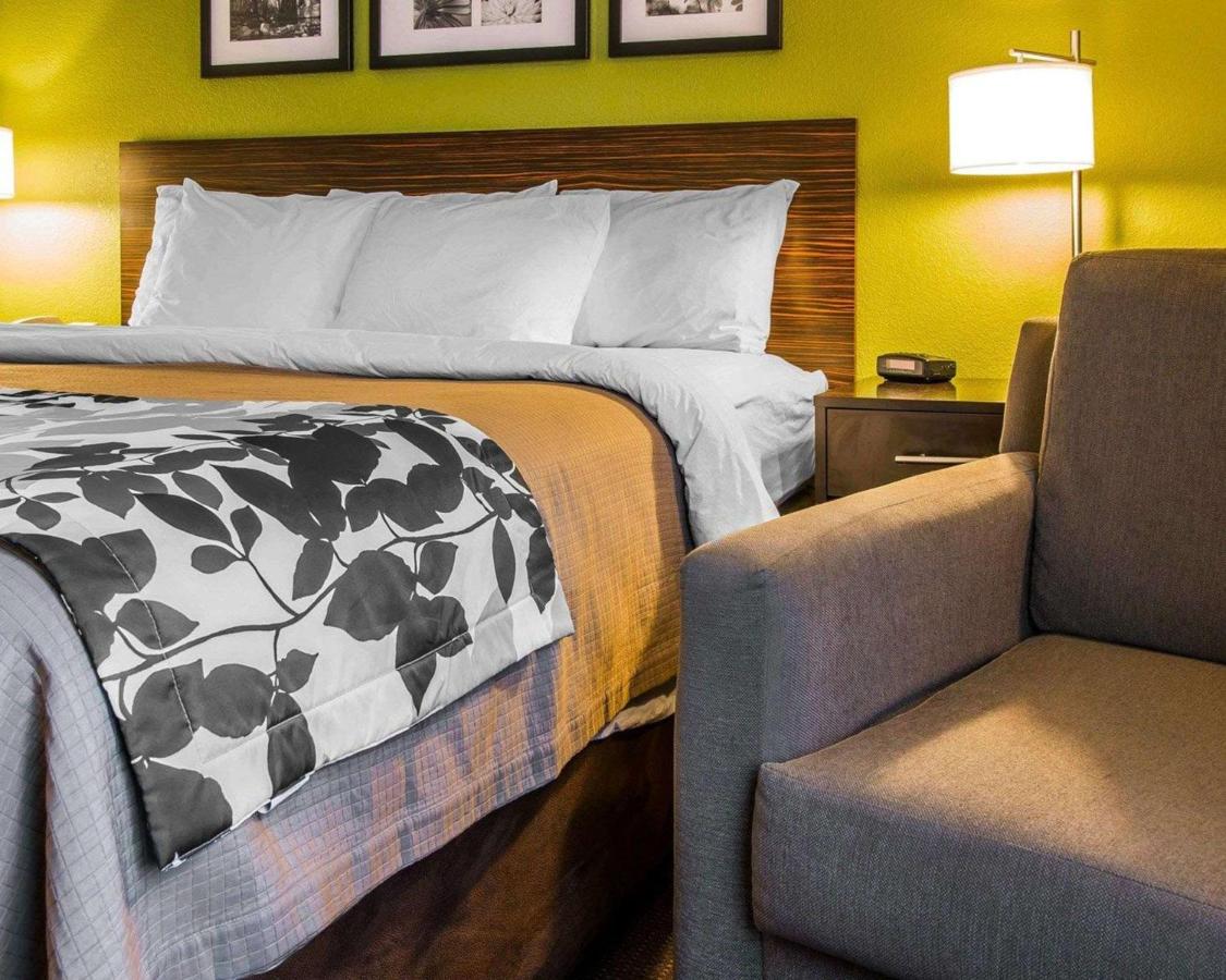 King Room - Non-Smoking at Sleep Inn Midland - Bay City West