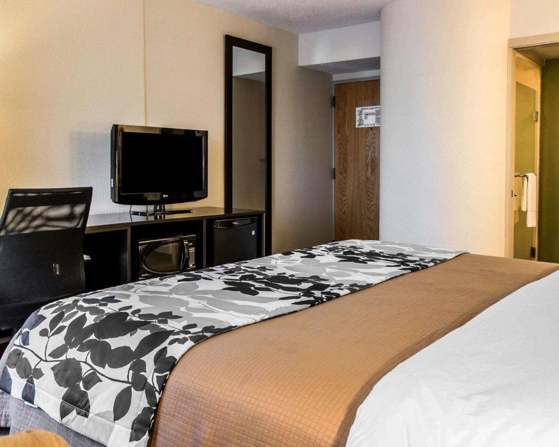 King Room - Non-Smoking at Sleep Inn Midland - Bay City West