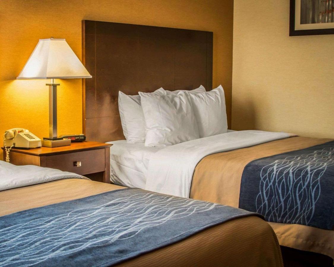 Queen Room - Non-Smoking at Quality Inn & Suites Port Huron