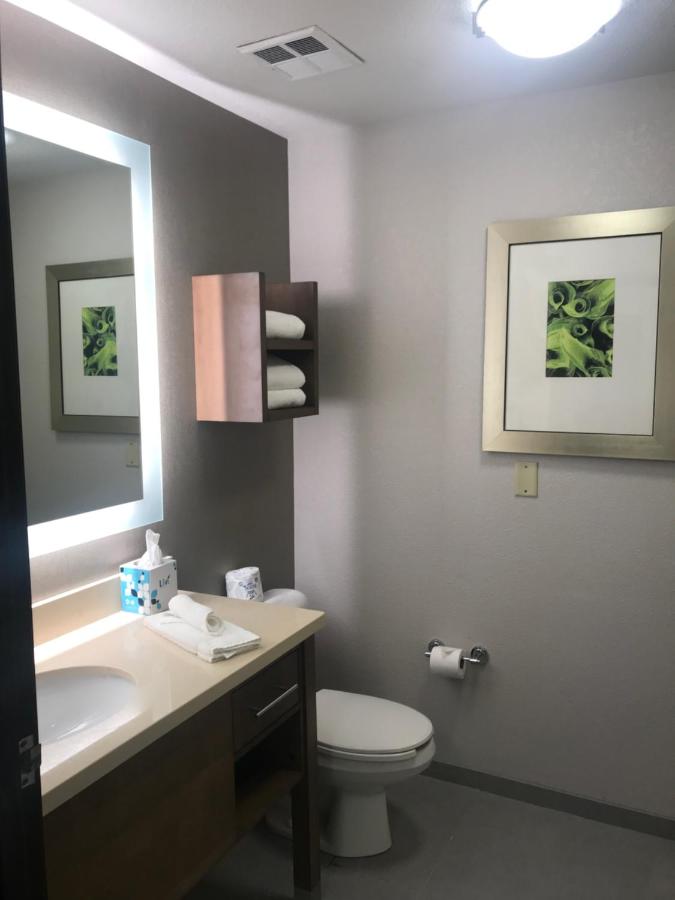 Executive Two-Bedroom King Suite with Two Baths at Staybridge Suites Columbia by IHG